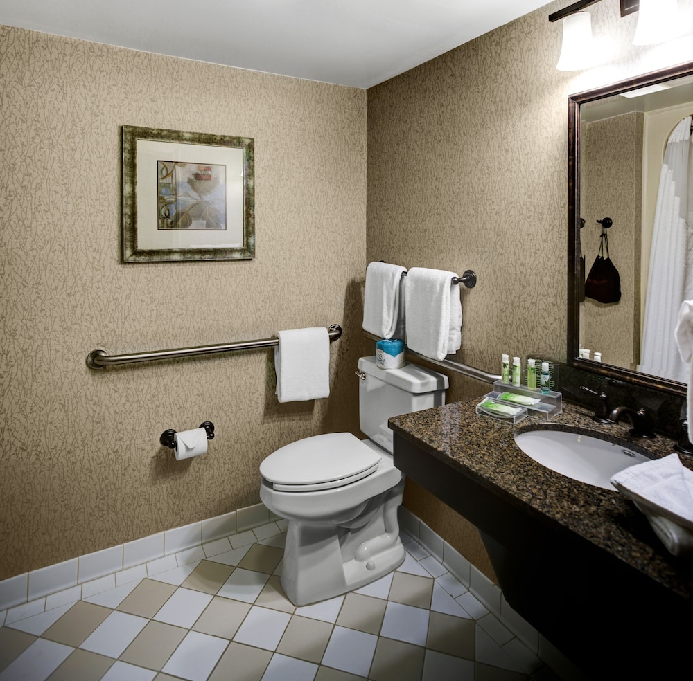 Standard Room, 1 King Bed, Accessible (Comm Mobil Tub) - Photo 6