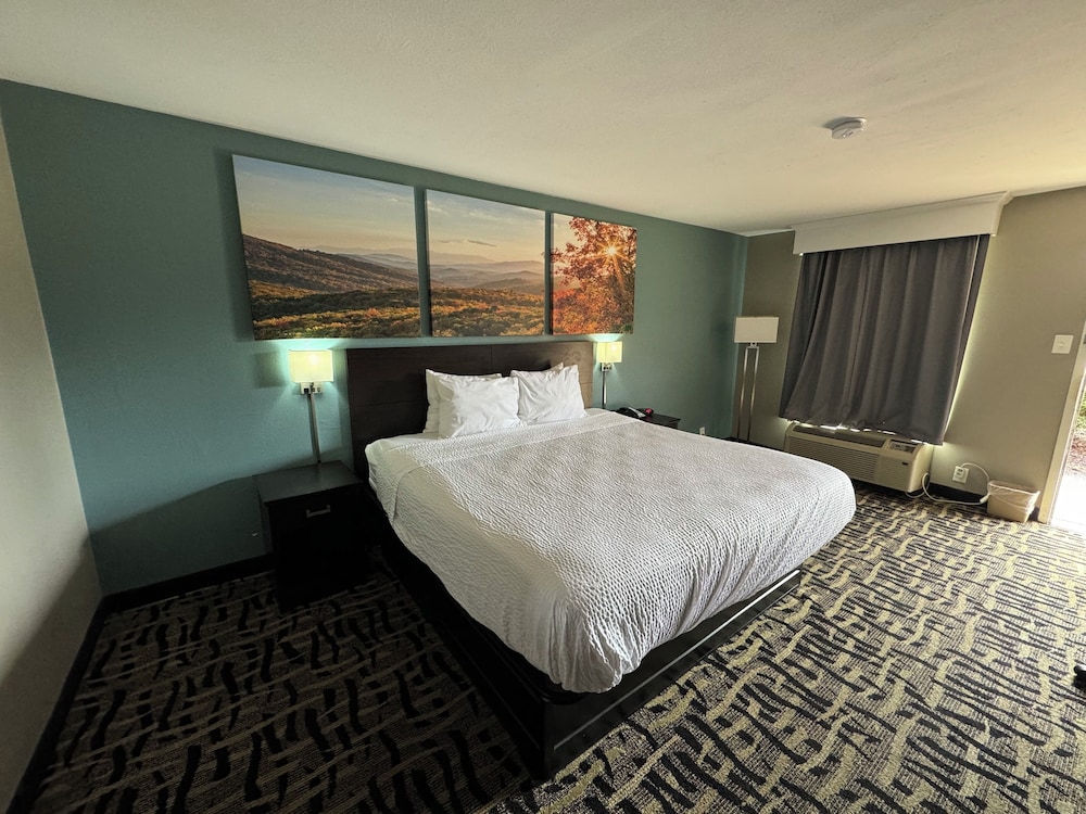 Basic Single Room photo 2