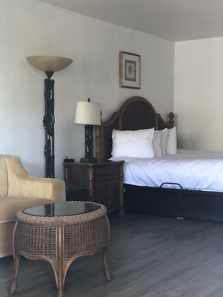 Classic Studio, 1 King Bed with Sofa bed photo 3