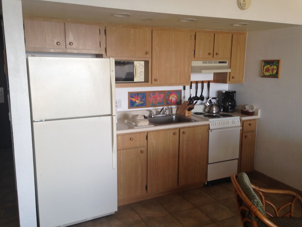 Superior Studio Suite, 1 King Bed With Sofa Bed, Partial Ocean View, Garden Area (Unit 1004) photo 3