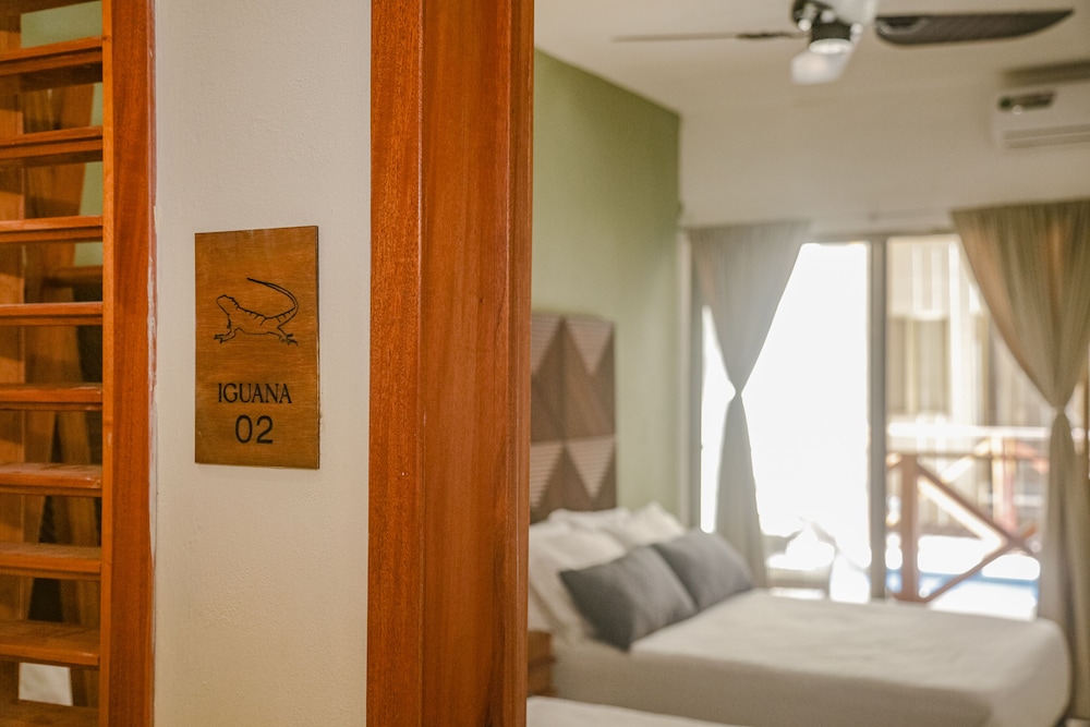 Standard Double Room, 2 Double Beds, Terrace - Photo 2