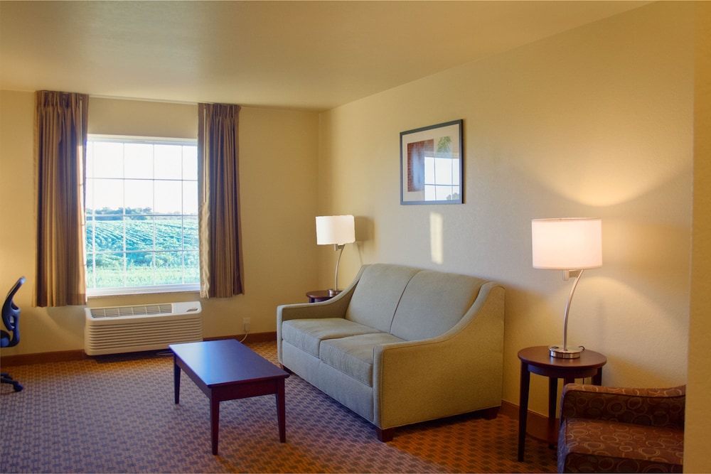 Suite, 1 King Bed with Sofa Bed, Accessible Roll in Shower, Non Smoking