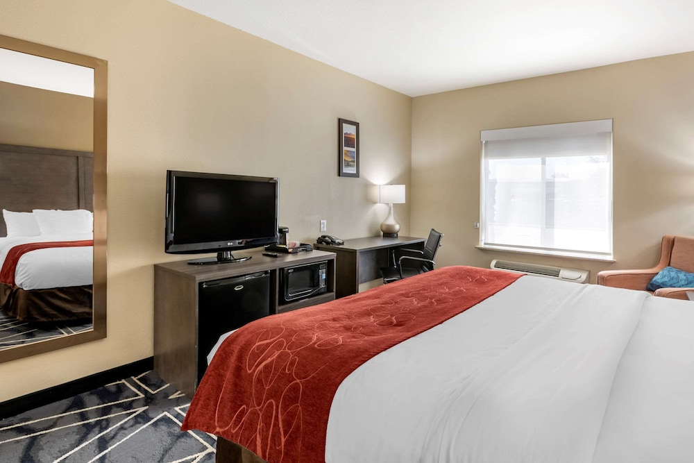 Room, 1 King Bed, Accessible, Non Smoking photo 2