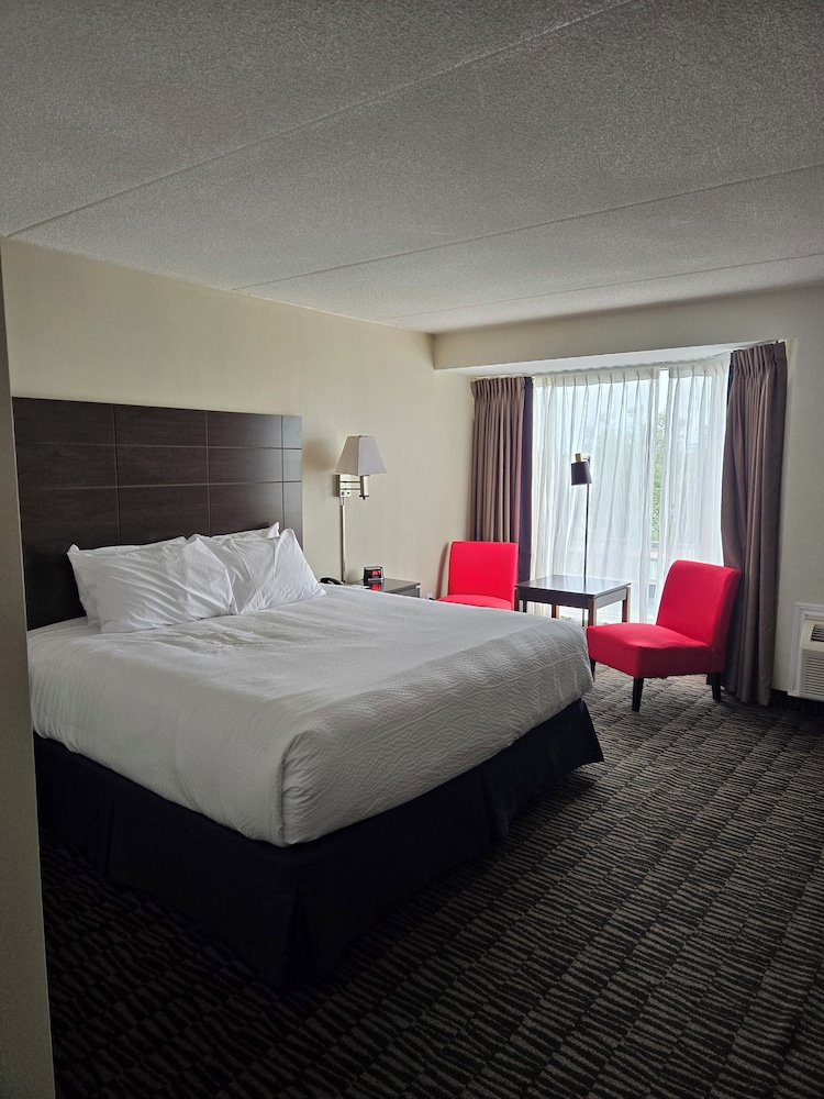Suite, 1 King Bed, Non Smoking, Refrigerator & Microwave
