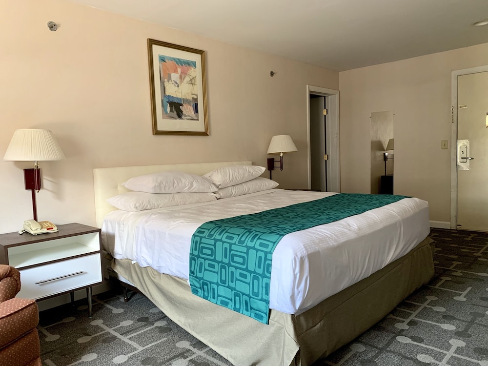 Room, 1 King Bed, Non Smoking - Photo 1