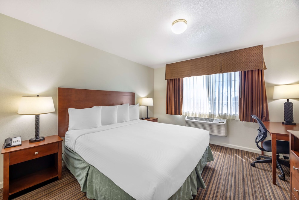 Suite, 1 King Bed, Non Smoking, Refrigerator & Microwave photo 1