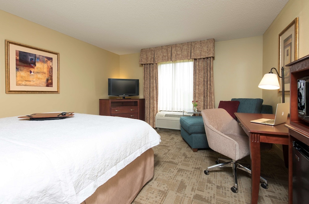 Room, 1 King Bed, Accessible, Non Smoking - Photo 4