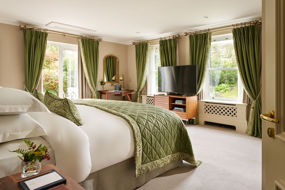 Suite - Photo 1