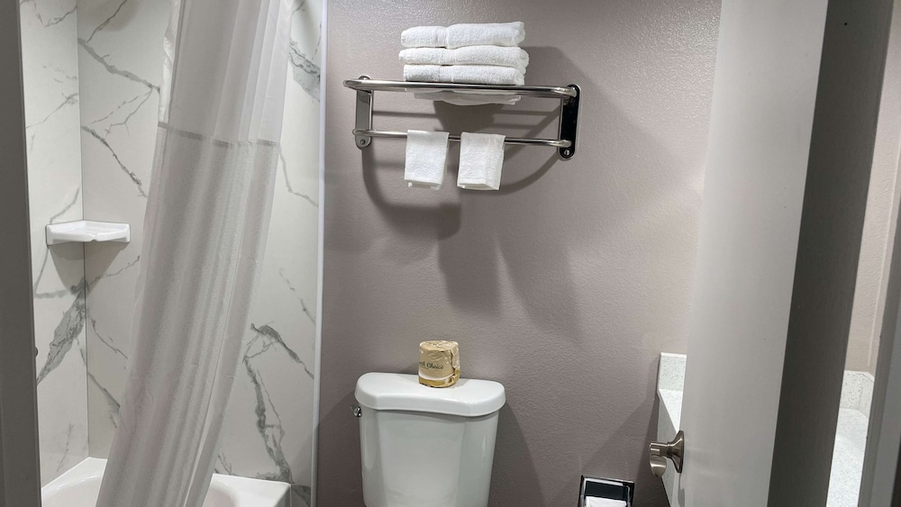 Deluxe Room, 1 King Bed, Non Smoking, Refrigerator & Microwave - Photo 8