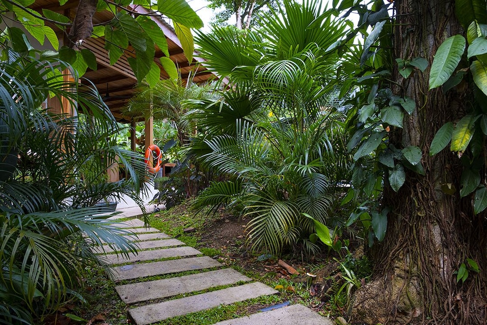 Classic Bungalow, Garden View photo 3