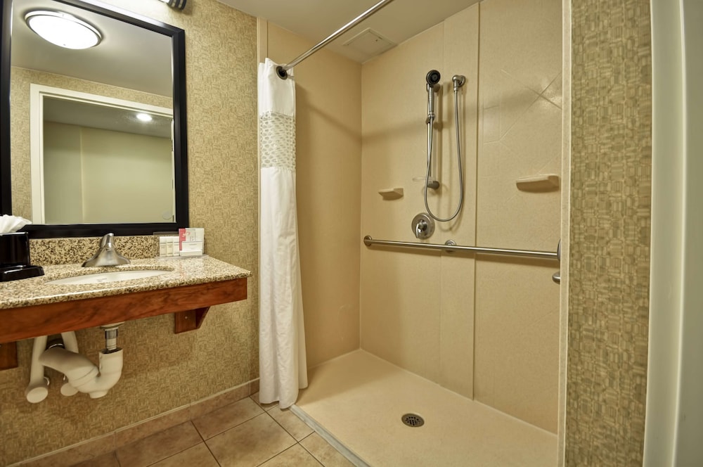 Room, 1 King Bed, Accessible, Non Smoking - Photo 4