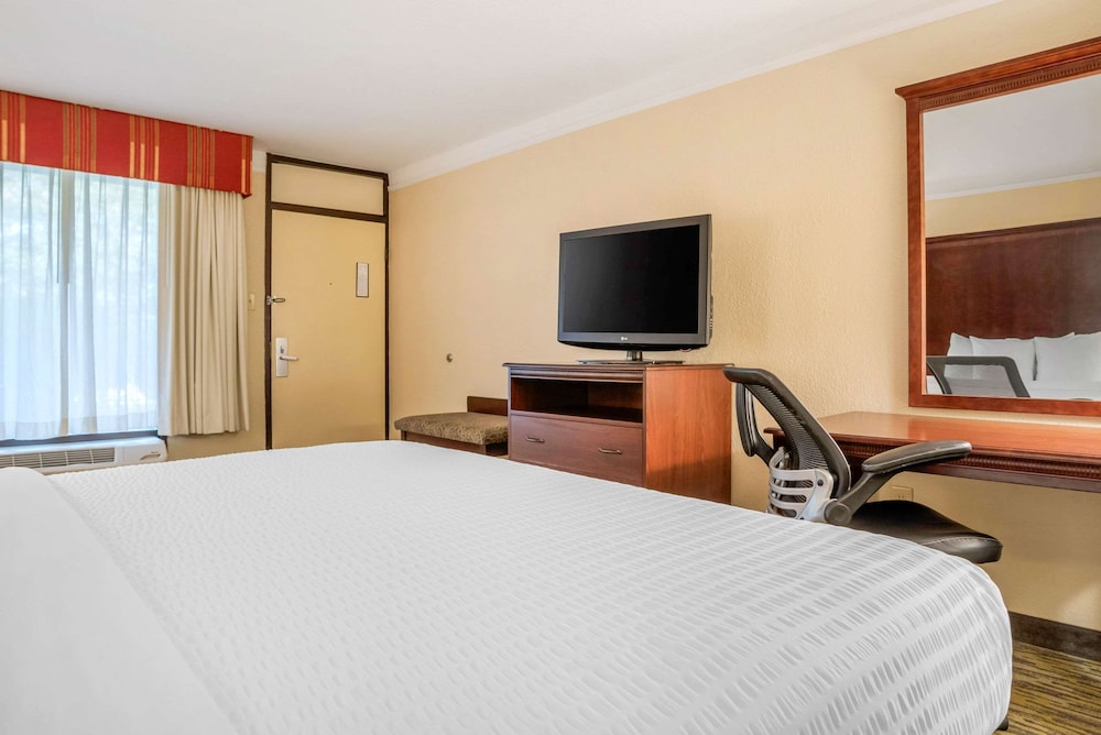Standard Room, 1 King Bed, Non Smoking photo 2