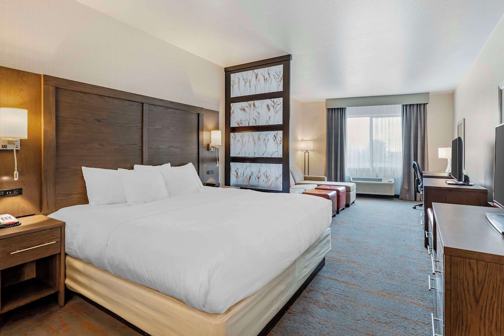 Suite, 1 King Bed with Sofa bed, Accessible, Non Smoking - Photo 1