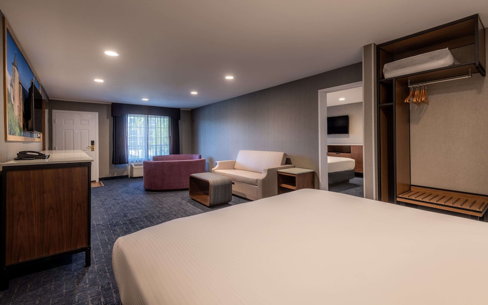 Two Room Family Suite - Photo 5
