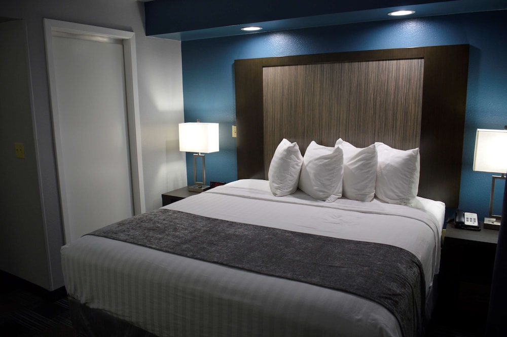 Executive Suite, 1 King Bed, Non Smoking, Refrigerator & Microwave - Photo 1