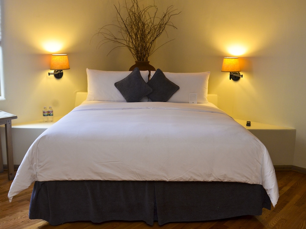 Suite, 1 Bedroom - Photo 8