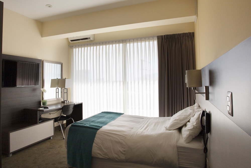 Superior Single Room, 1 Twin Bed, Terrace