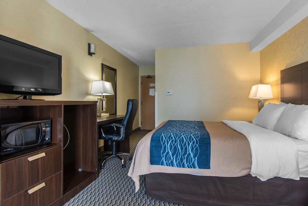 Comfort Care, Standard Room, 1 Queen Bed with Sofa bed, Non Smoking