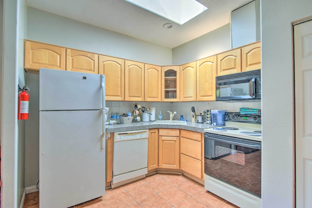 Apartment (1 Bedroom) photo 3