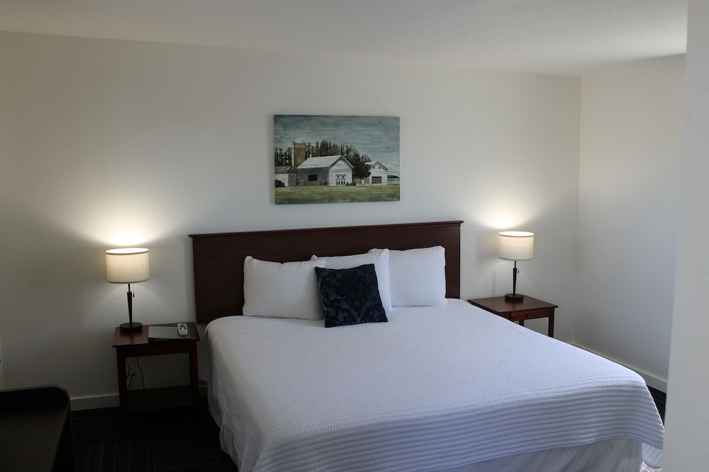 Single Room, 1 King Bed photo 1