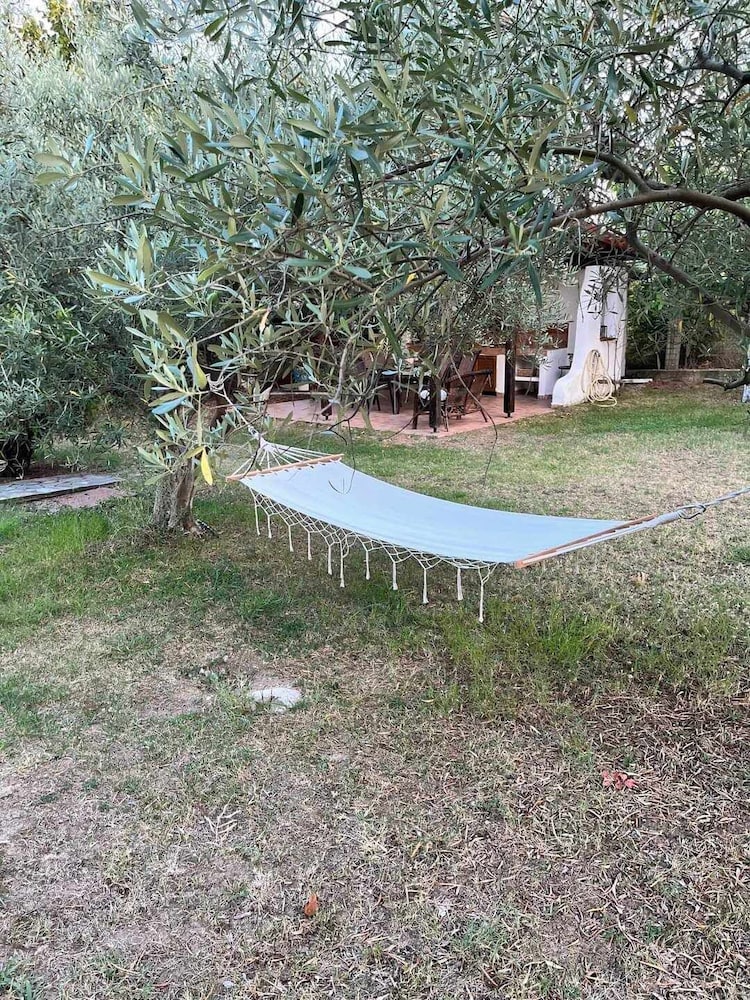 Zeusplace Olympus Olive Country House 4, Bilde 29