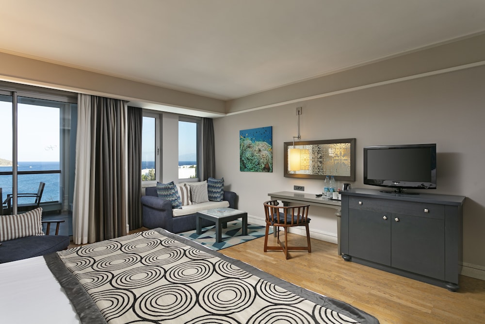 Suite, Courtyard Area photo 2