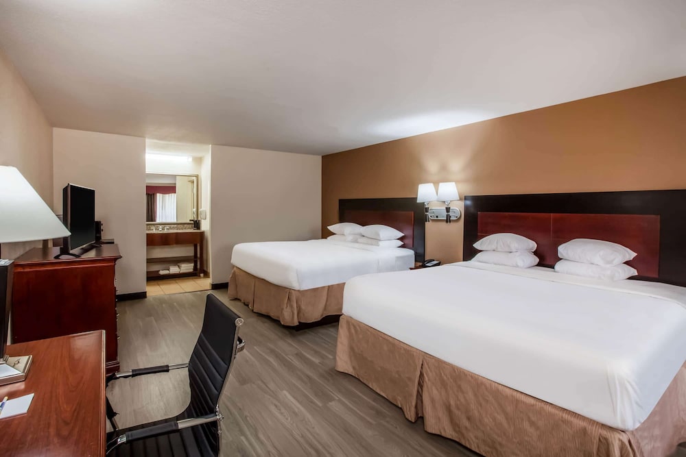Room, Multiple Beds, Non Smoking, Refrigerator photo 1