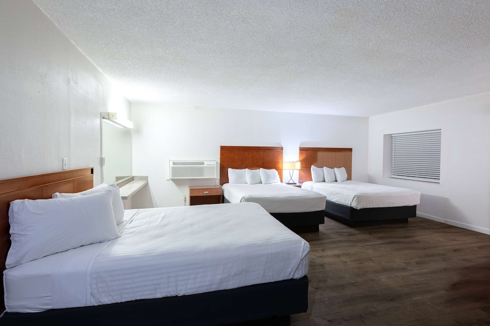Studio Suite, Multiple Beds, Non Smoking - Photo 4