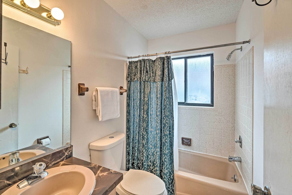 Apartment (1 Bedroom) photo 3