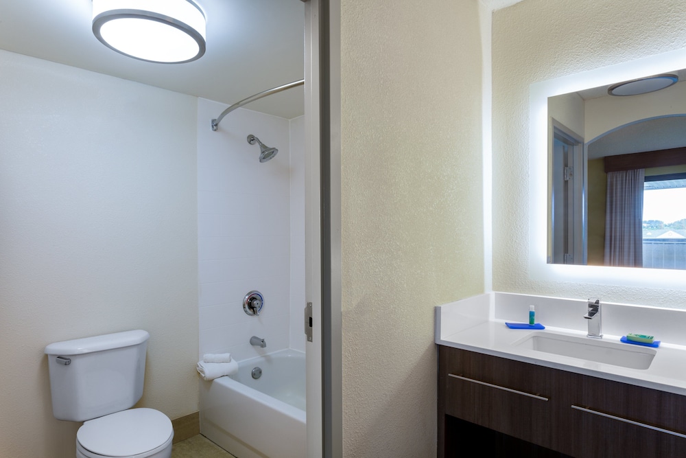 Suite, 1 Bedroom - Photo 7