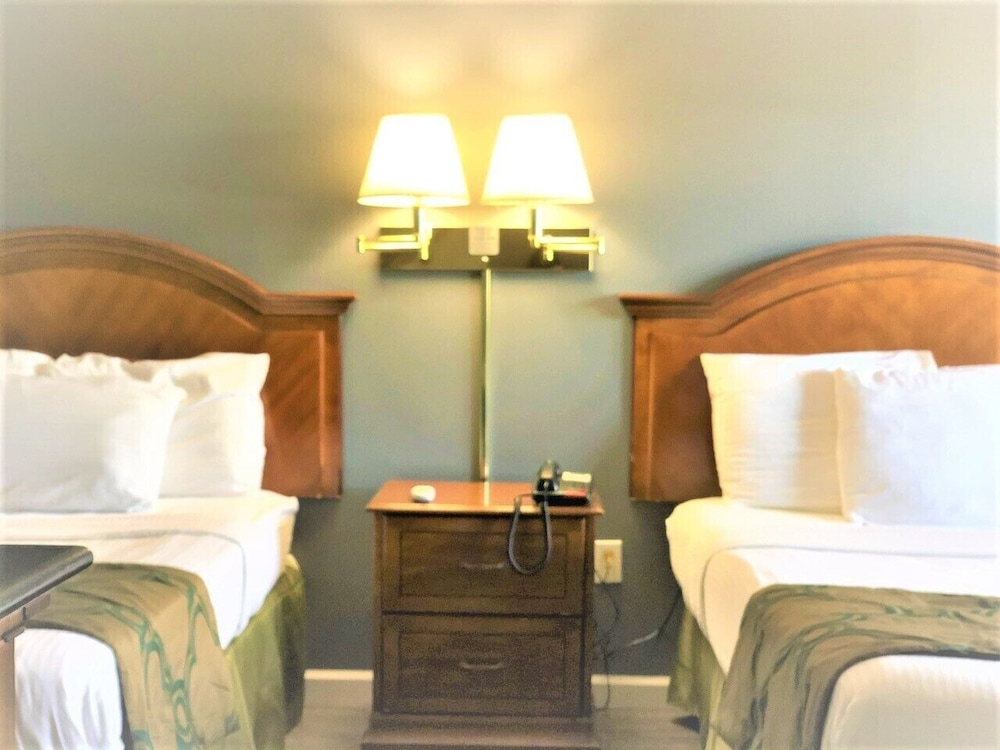 Deluxe Room, 2 Double Beds photo 3