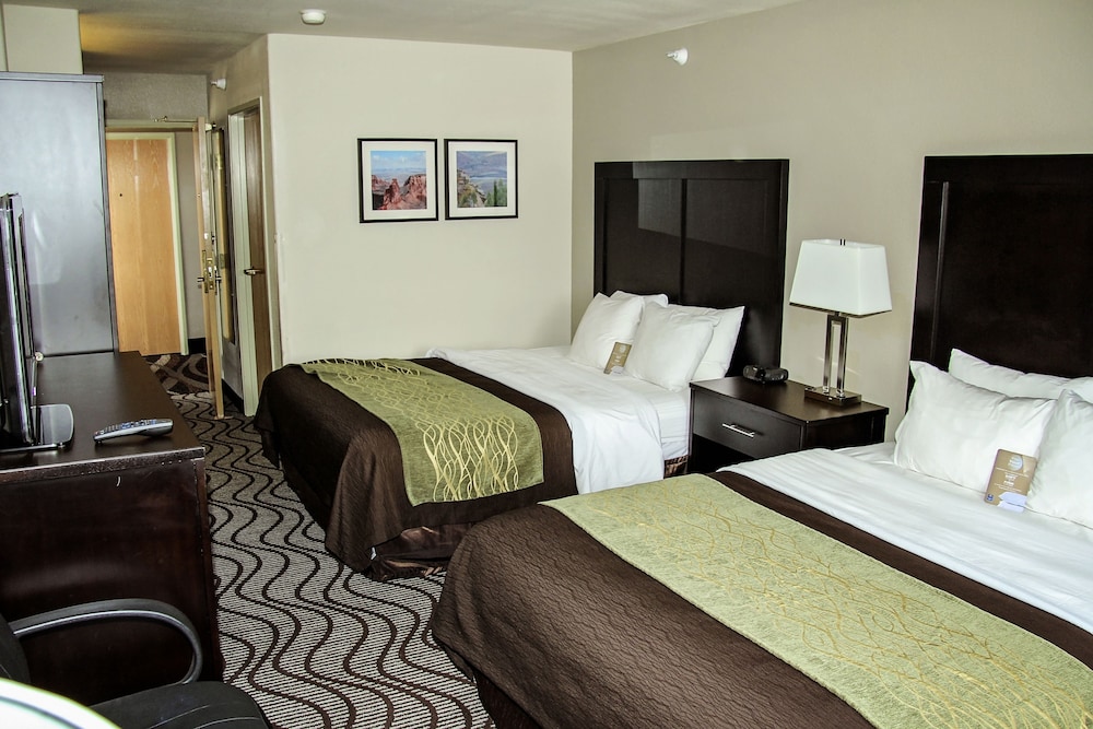 Standard Room, 2 Queen Beds, Non Smoking (pets allowed) - Photo 5