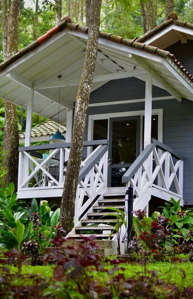 Deluxe Villa photo 2