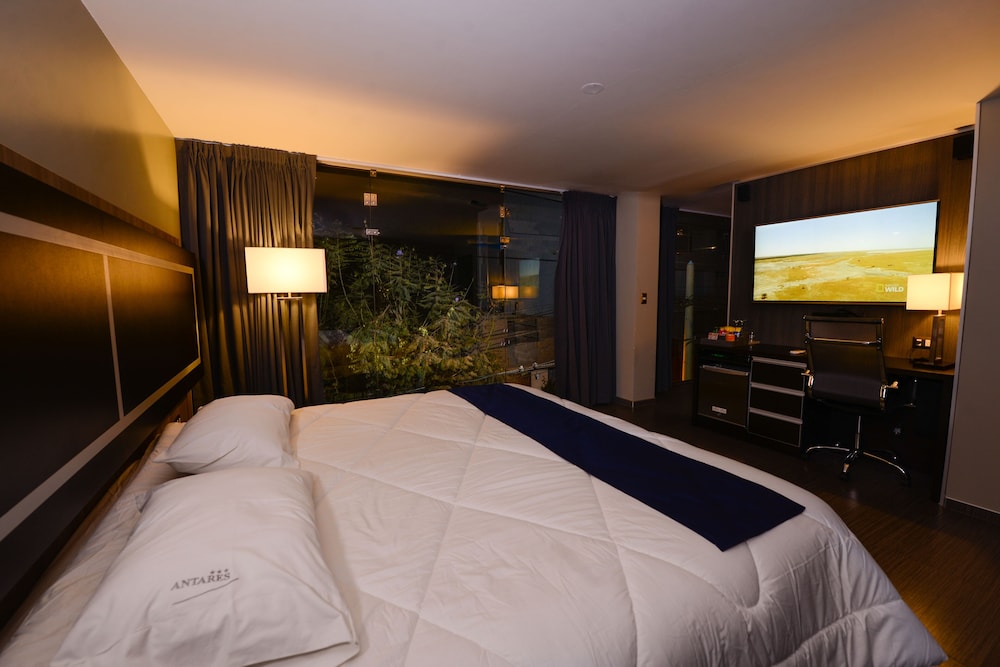 Junior Suite, 1 King Bed photo 1