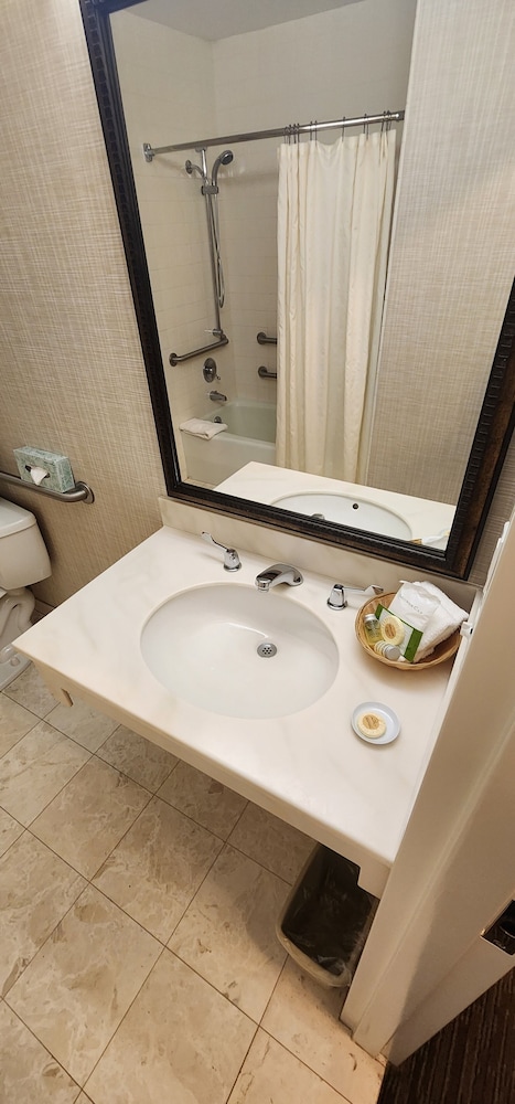 Basic Single Room, Accessible thumbnail 6