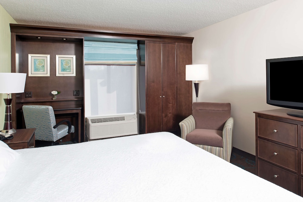 Room, 1 King Bed, Non Smoking (Connecting Rooms) photo 1