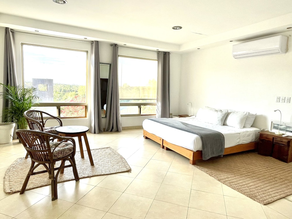 Suite Agaves 4 photo 1