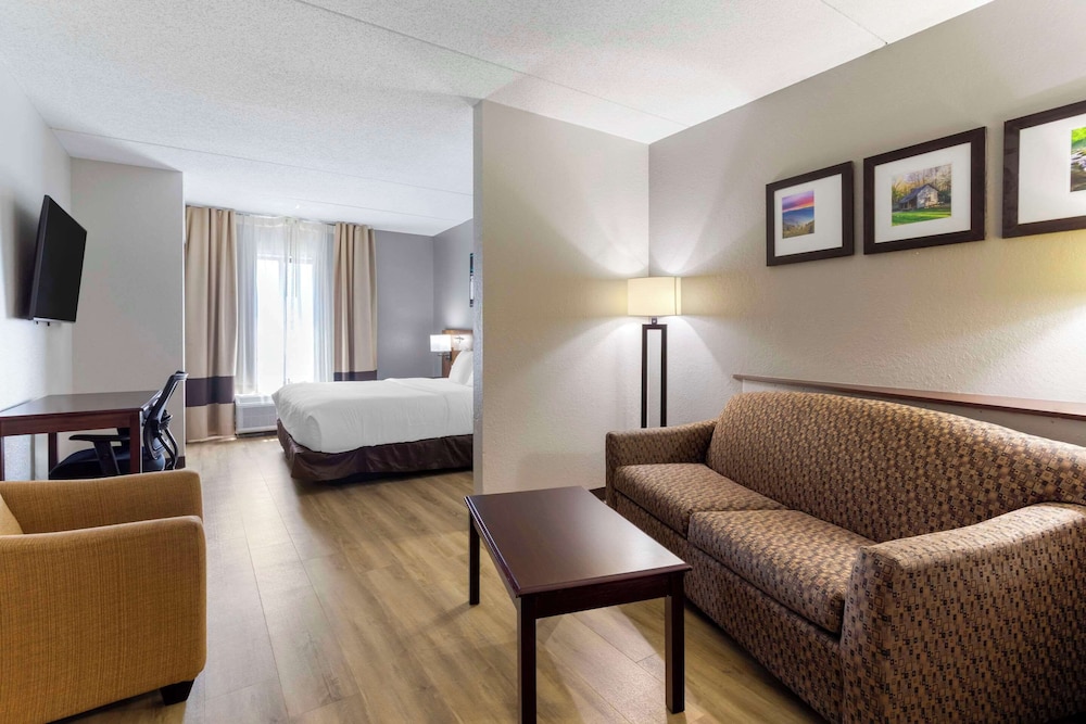 Suite, 1 King Bed with Sofa bed, Accessible, Non Smoking - Photo 1