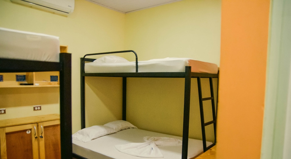 Basic Shared Dormitory, Women only photo 2