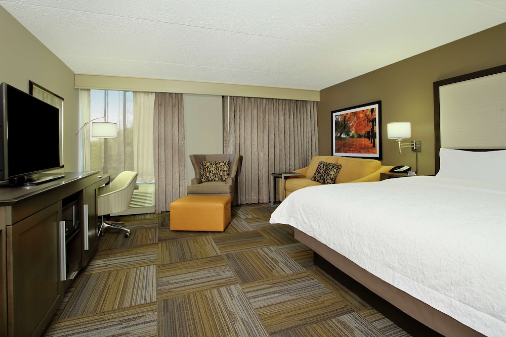 Suite, 1 King Bed, Accessible, Non Smoking - Photo 3