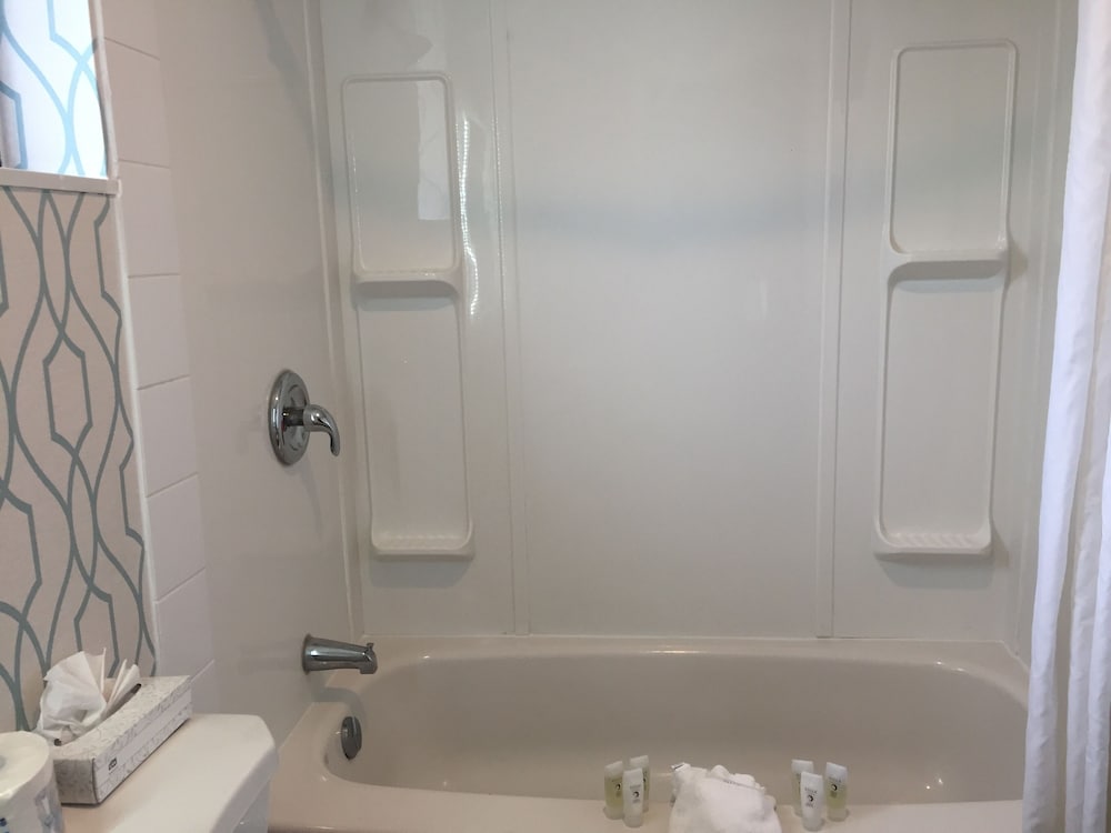 King Studio Suite with Kitchenette photo 3