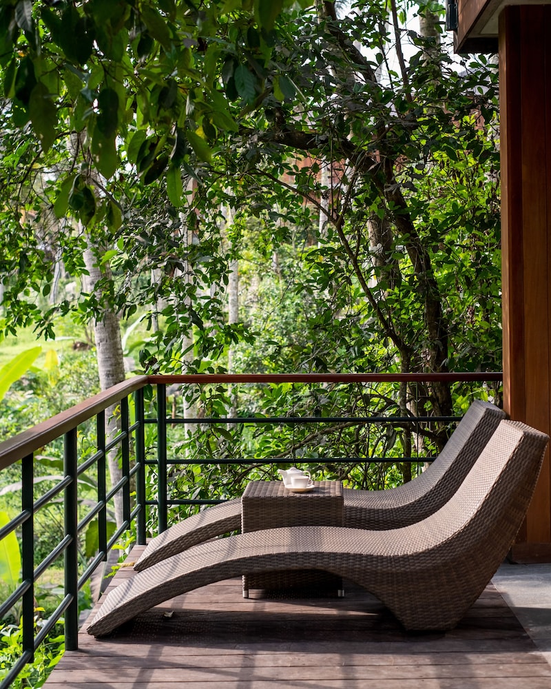 Jungle Suite King with Free Scheduled Activities - Photo 14