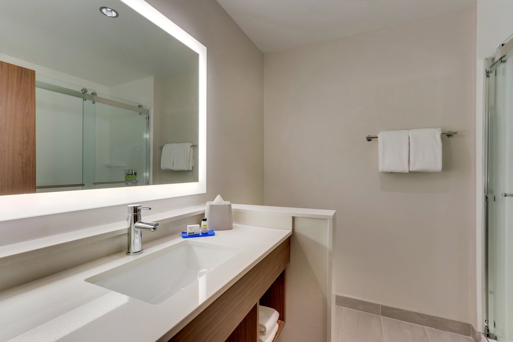 Suite, 1 Bedroom - Photo 10