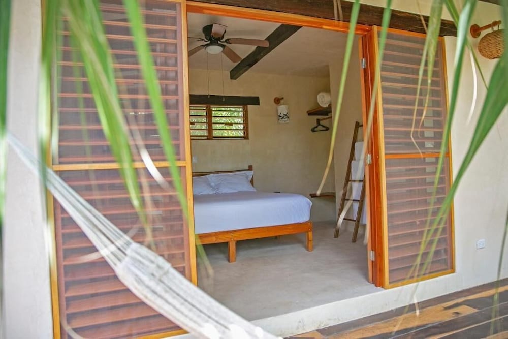 Deluxe King Room photo 3