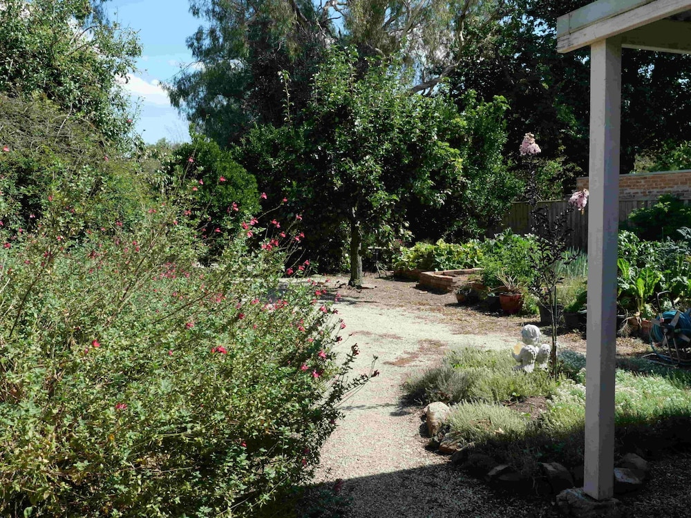 Comfort Double Room, Patio, Garden View photo 2