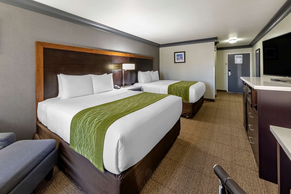1 King Bed, 1 Queen Bed, Nonsmoking