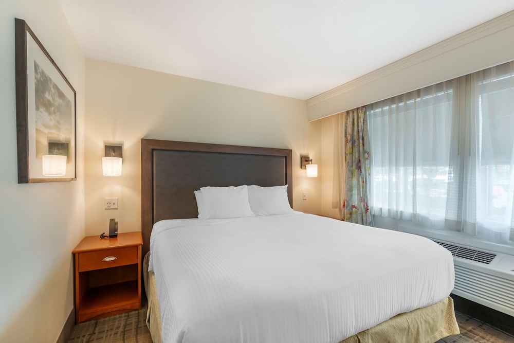 Suite, 1 King Bed, Non Smoking, Refrigerator & Microwave - Photo 6