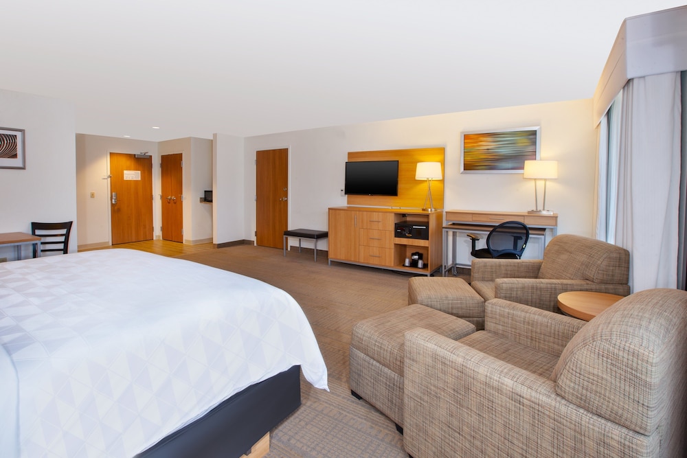 Premium Room, 1 King Bed, Accessible (Accessible Tub) photo 3