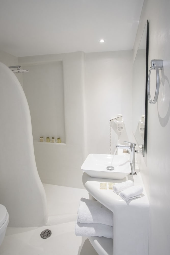 Premium Suite - Photo 19