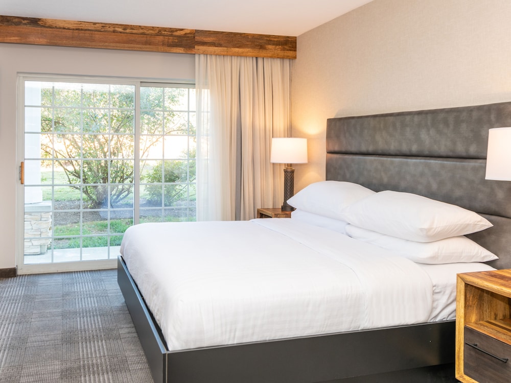 Standard Room, 1 King Bed, Accessible Bathtub - Photo 1